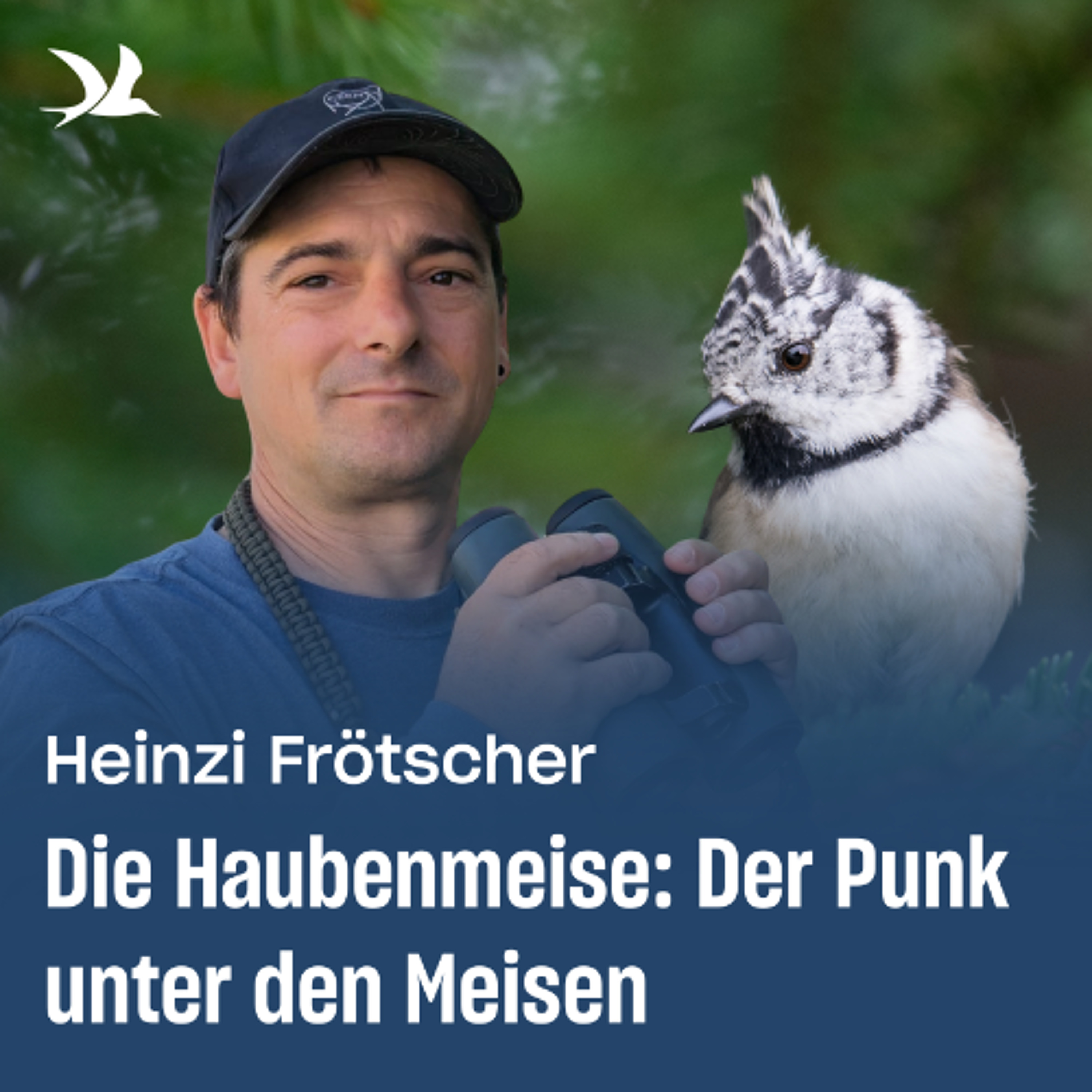 87. Die Haubenmeise: Der Punk unter den Meisen 87. Die Haubenmeise: Der Punk unter den Meisen