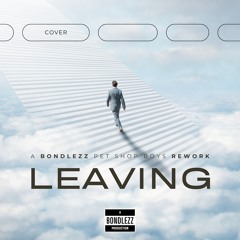 LEAVING - PET SHOP BOYS rework (moody-blues-edit)