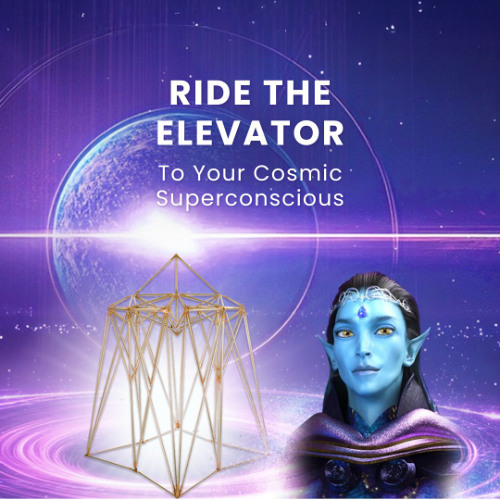 Meditation • Elevating Into Unity Consciousness