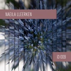 Dynamic Reflection Podcast Series 009: Naeila Lleerken