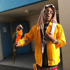 Rich The Kid - For The Birds (NEW LEAK)