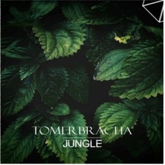 Tomer Bracha - Jungle (Amir Udai Rework)