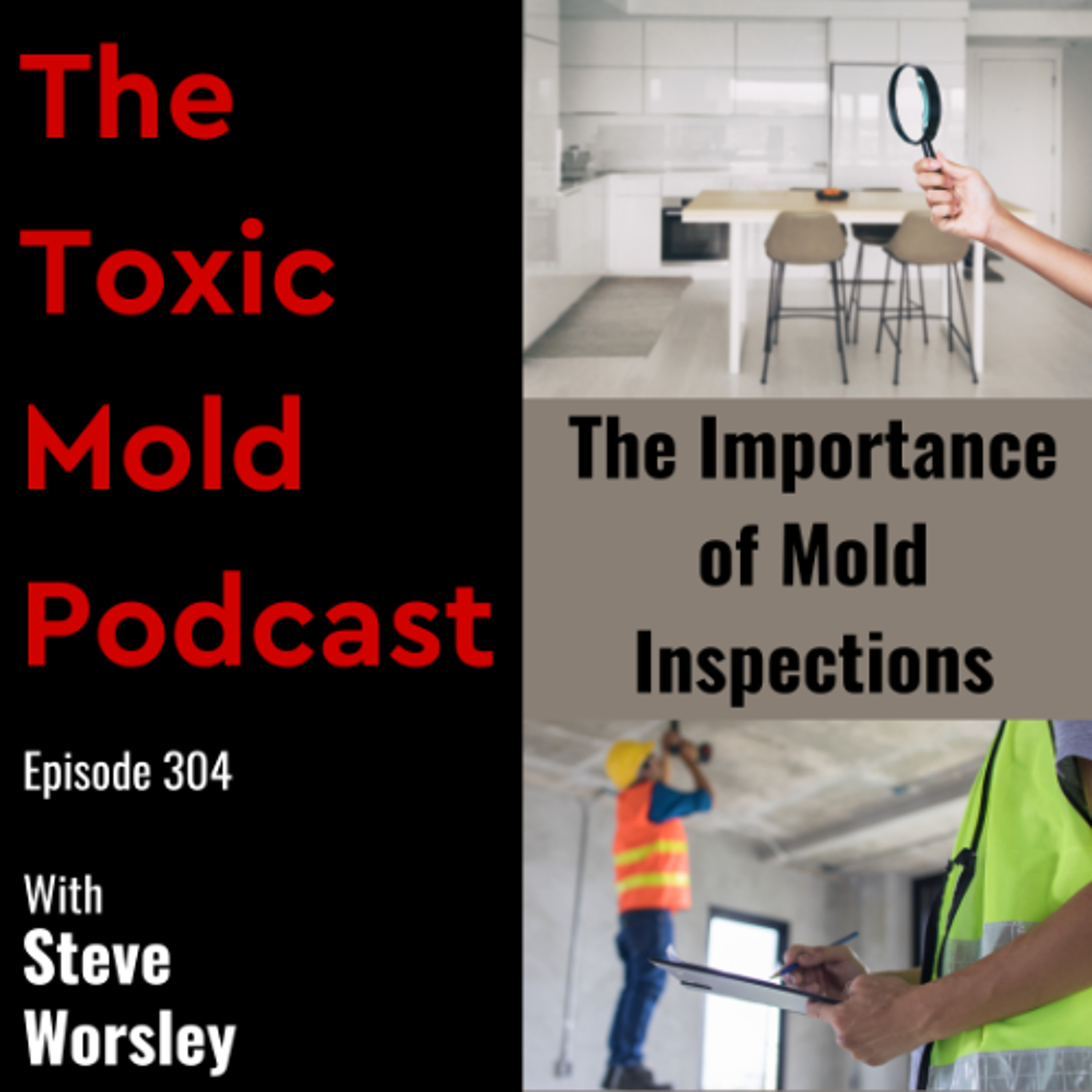 EP 304: The Importance of Mold Inspections