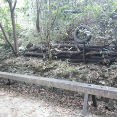 Près du Banc En Bois