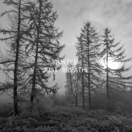 Lost In The Heartlands