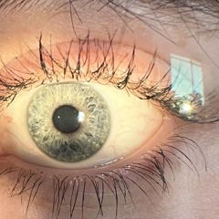 𐙚(•˕ •マ.ᐟ  ᡃ࡚ࠢ࠘ ⸝່ࠡࠣ᠊߯᠆ࠣ࠘ᡁࠣ࠘᠊᠊°.~