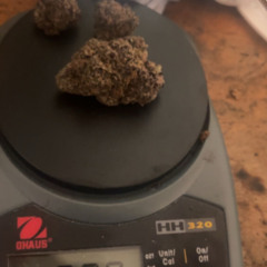 Run It Back ft yungjay