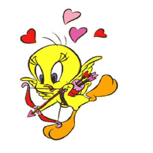 bird brain (l0kked + dxrii)