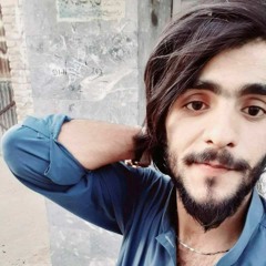 Zindagi_Haseen_-_Pav_Dharia(_Official-_Vicky_Sandhu_-_Latest_Punjabi_Songs_2020_-_Lokdhun(256k).mp3