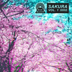 SAKURA VOL. 1