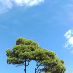 Chill In The Woods Mix