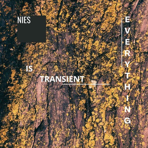 Nies - Transient I