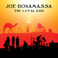 The Loyal Kind (Live)