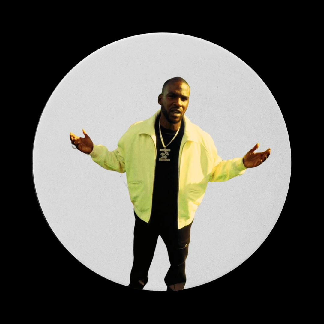 Stream Bushbaby - Diligent Flip (STPTBOOT027) by