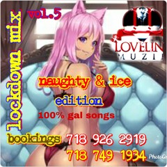 LOCKDOWN MIX VOL.5 NAUGHTY & ICE EDITION