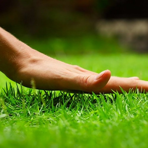 touching grass.