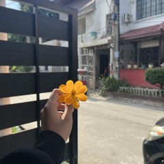 HINDI AKALAIN