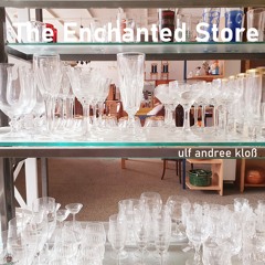 THE ENCHANTED STORE