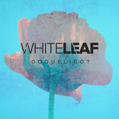 Premiere: White Leaf - Coquelicot [Sag & Tre]