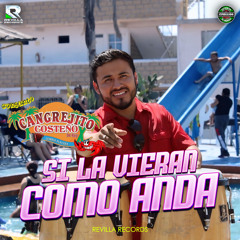 Si la Vieran Como Anda