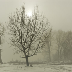 27/100 ~ Tones From Nowhere