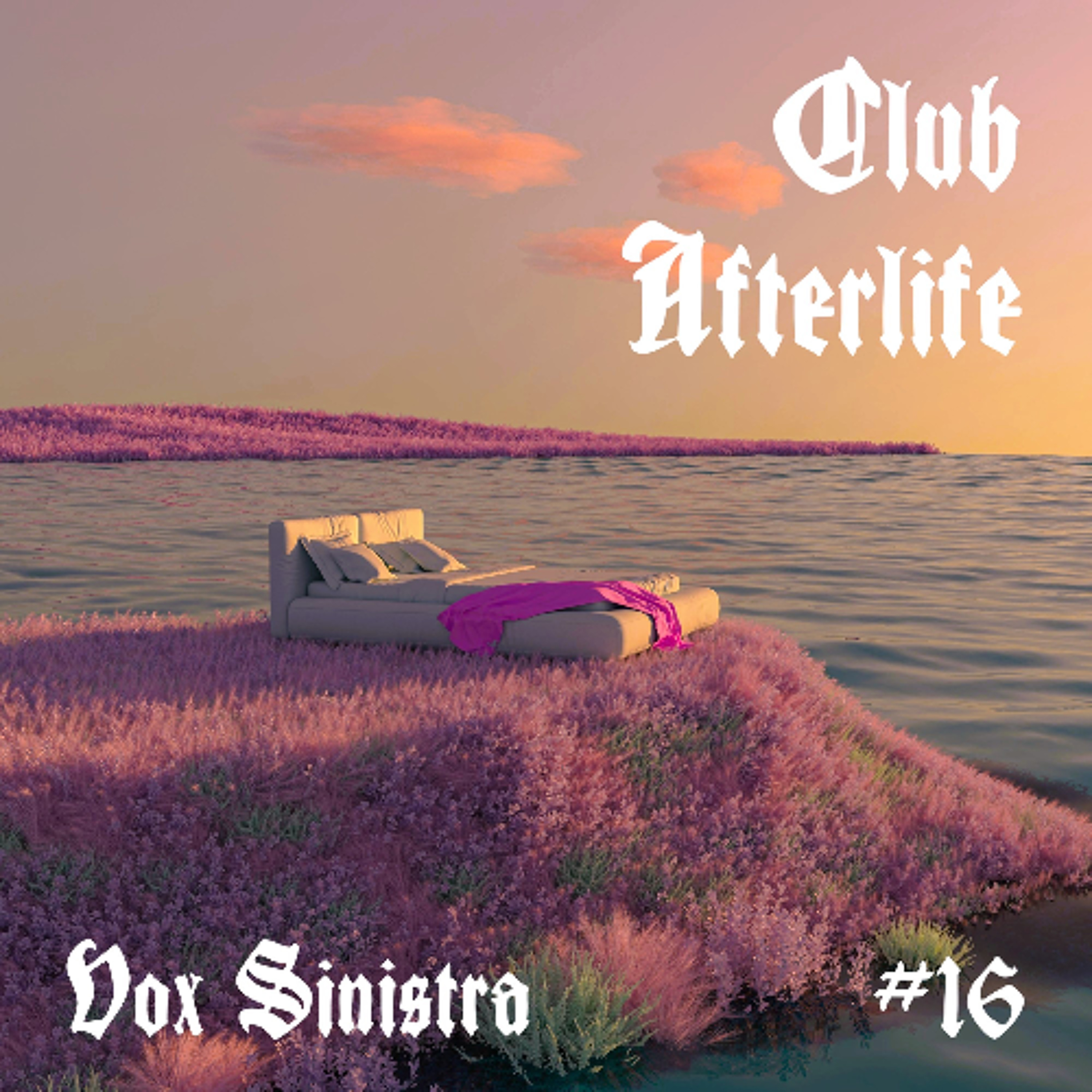 Club Afterlife #16 - Dark & Hard Techno (Heart Racer) episode artwork