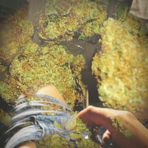 StepperSteff_Raucht Weed und verzichtet auf Romanzen.mp3