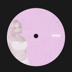 PRETTY PRIVELEGE BOOTLEG