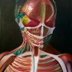 anatomy invalid