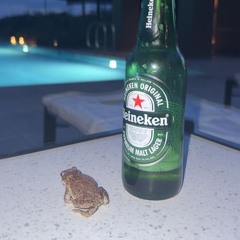 SPINE (extended mix)