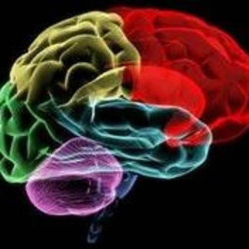 Things You To Know About (CAPD) Auditory Processing Therapist In Atlanta GA