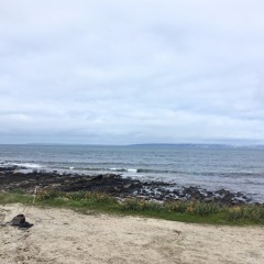 FKISM: Fishery Beach, Cape Jervis - August 2020