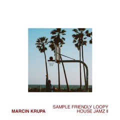 Sample Friendly Loopy House Jamz II EP (SFL-02)