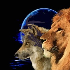 Possibilities - Matty Dracarys