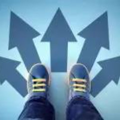 Innovate, Not Imitate A New Perspective on App Developer Choice