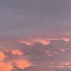 Lovemeee (prod. Rollie)