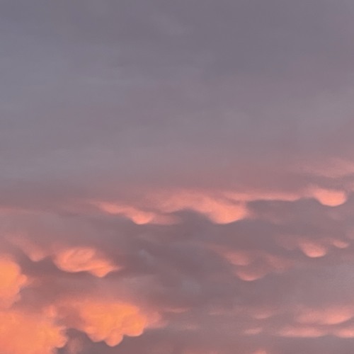 Lovemeee (prod. Rollie)