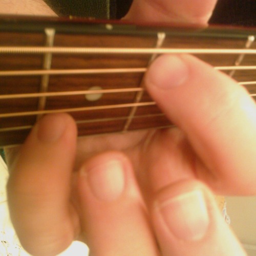 Fluterbug (Copyright 2003)