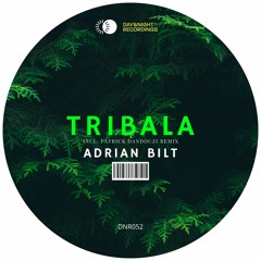 Adrian Bilt - Tribala (Original Mix) [Day&Night Recordings]