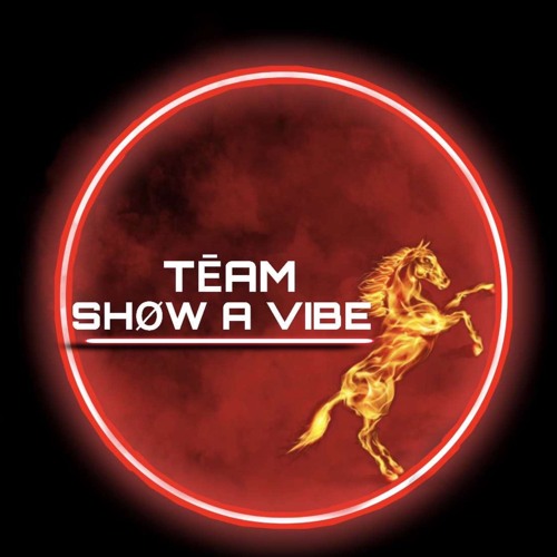 TEAM SHOW A VIBE - IT STEAMY - ZESS EDITION PT 1 FT DJDREADENT
