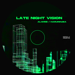 Late Night Vision
