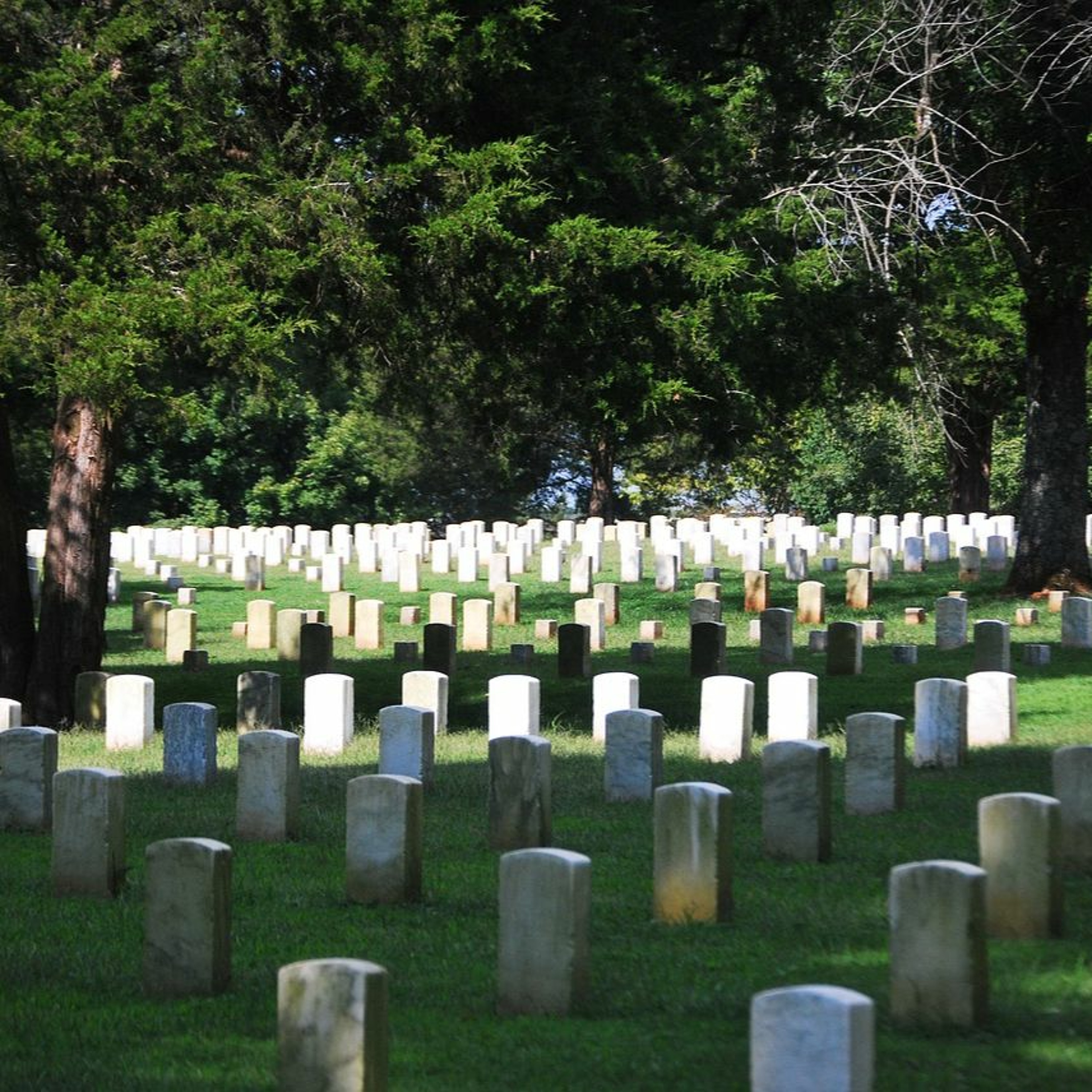 A Spectacle of Charity – The Daughters of Charity During the Civil War