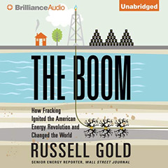 [FREE] PDF 💙 The Boom: How Fracking Ignited the American Energy Revolution and Chang
