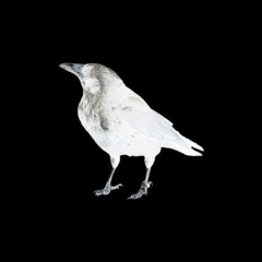 SCP-3008 Friday Theme (Piano version)