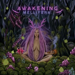 Mellifera - Emotional Woods | DFMTD068