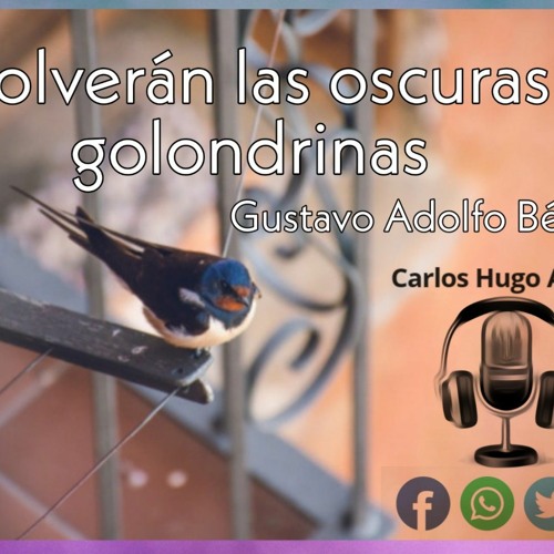 Stream #Poema Volverán Las Oscuras Golondrinas - Gustavo Adolfo Bécquer by  Carlos Hugo Arteaga R. | Listen online for free on SoundCloud