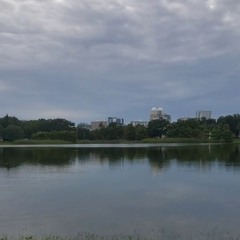 Sunset Mix (live at Lake Eola)