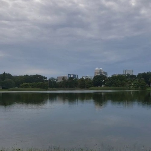 Sunset Mix (live at Lake Eola)