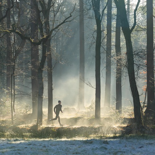 Stream episode An interview with Lizzy Hawker, endurance athlete by