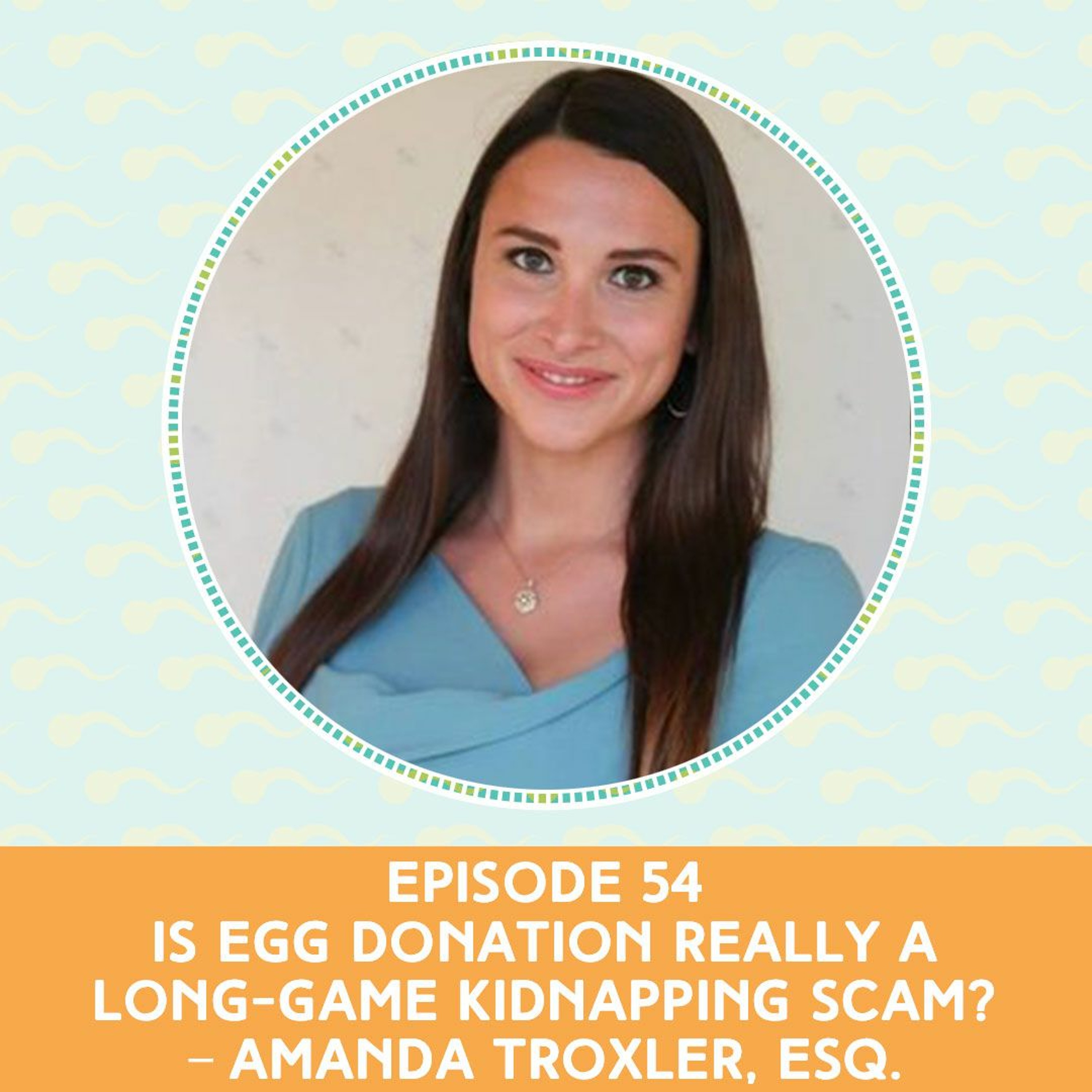 Episode 54Is Egg Donation Really A LongGame Kidnapping Scam?Amanda